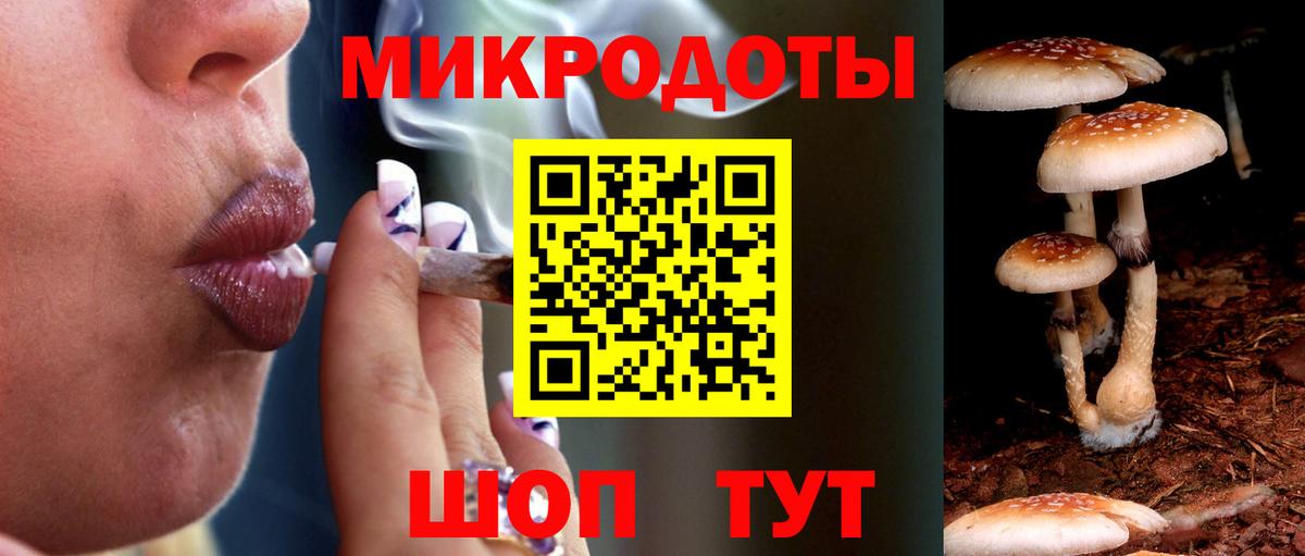 Железноводск  наркотики  Вход с VPN  Галлюциногенные грибы Cubensis 